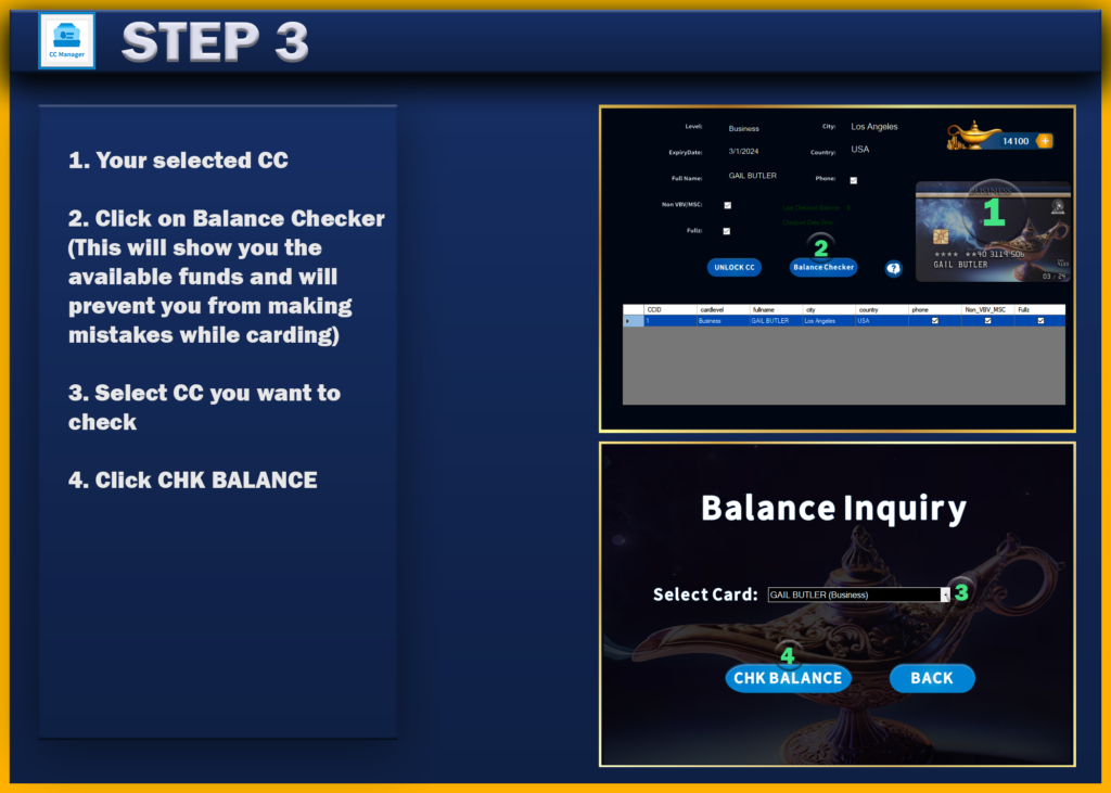 Step 3 balance checker genie