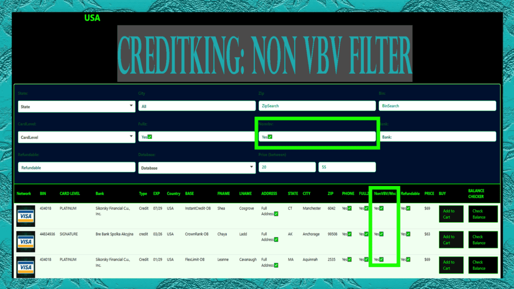 How to get a Non VBV Card non vbv filter creditking