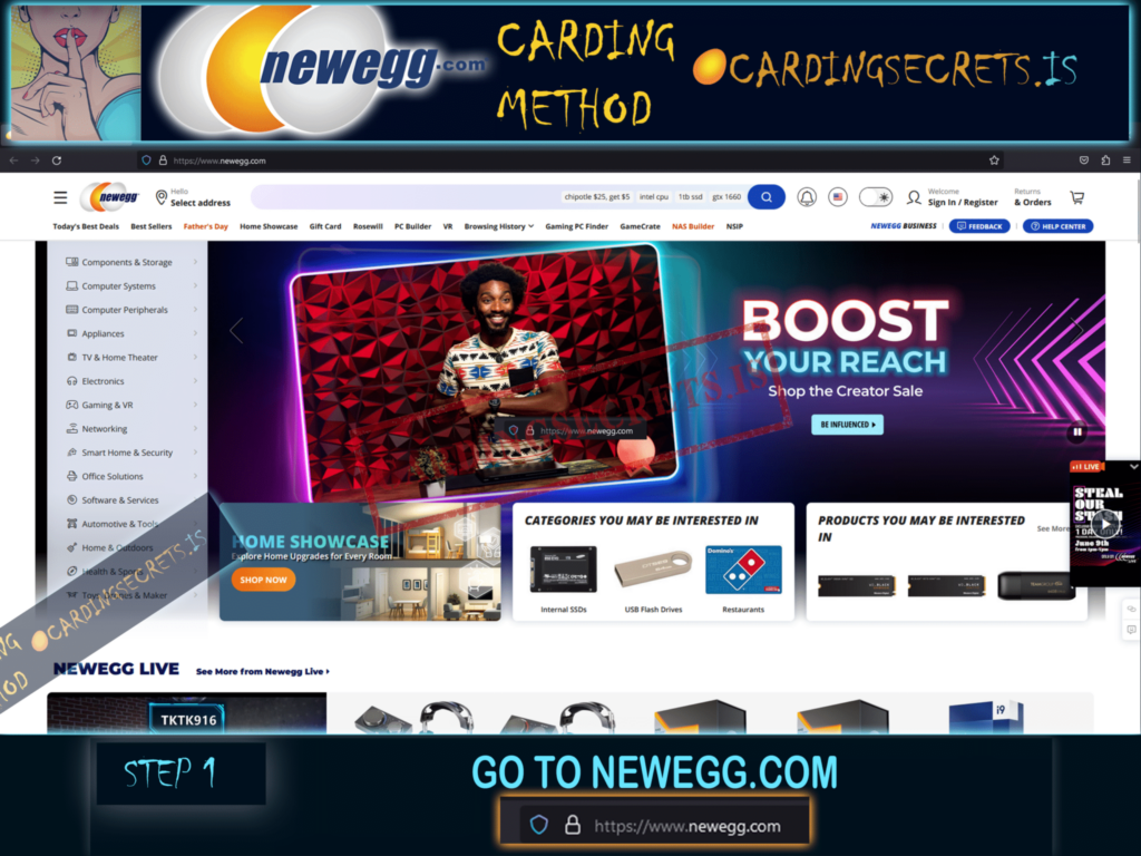 go to newegg com