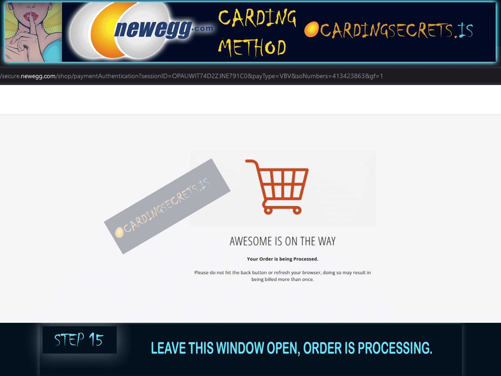 Shocking NewEgg Carding Method Uncovered in 2024! [VIDEO] Carding Methods
