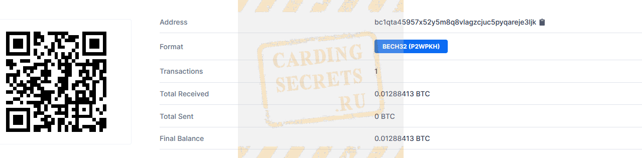 CC to Bitcoin carding method complete.