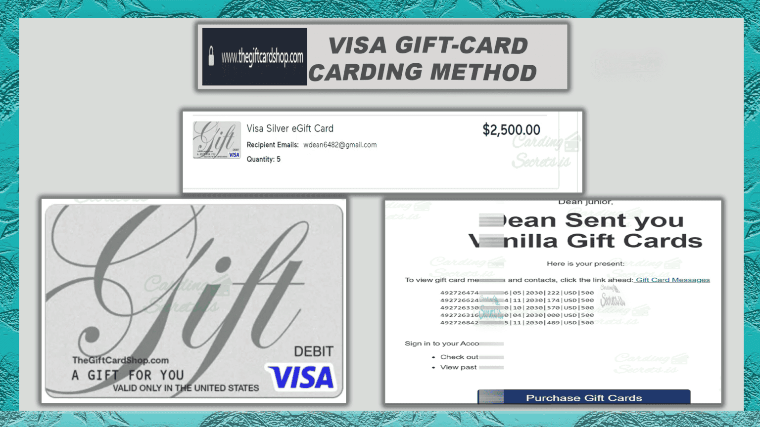 2500 Digital Cash Visa Silver eGiftCard Carding Method Video (TGS
