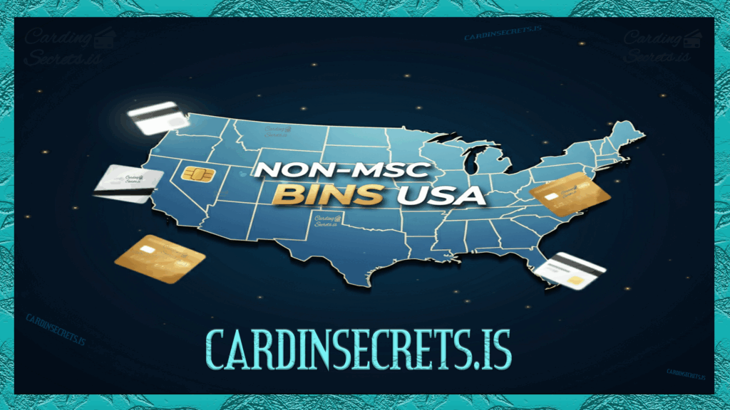 non msc bins USA infographic mastercard