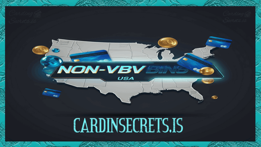 non vbv bins usa infographic visa