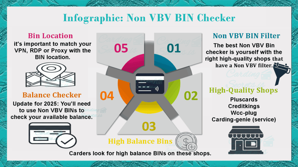 Infographic Non VBV BIN Checker