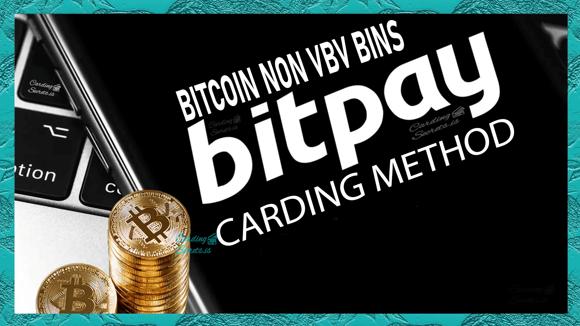 NON VBV BINS FOR BITPAY CARDING THUMBNAIL