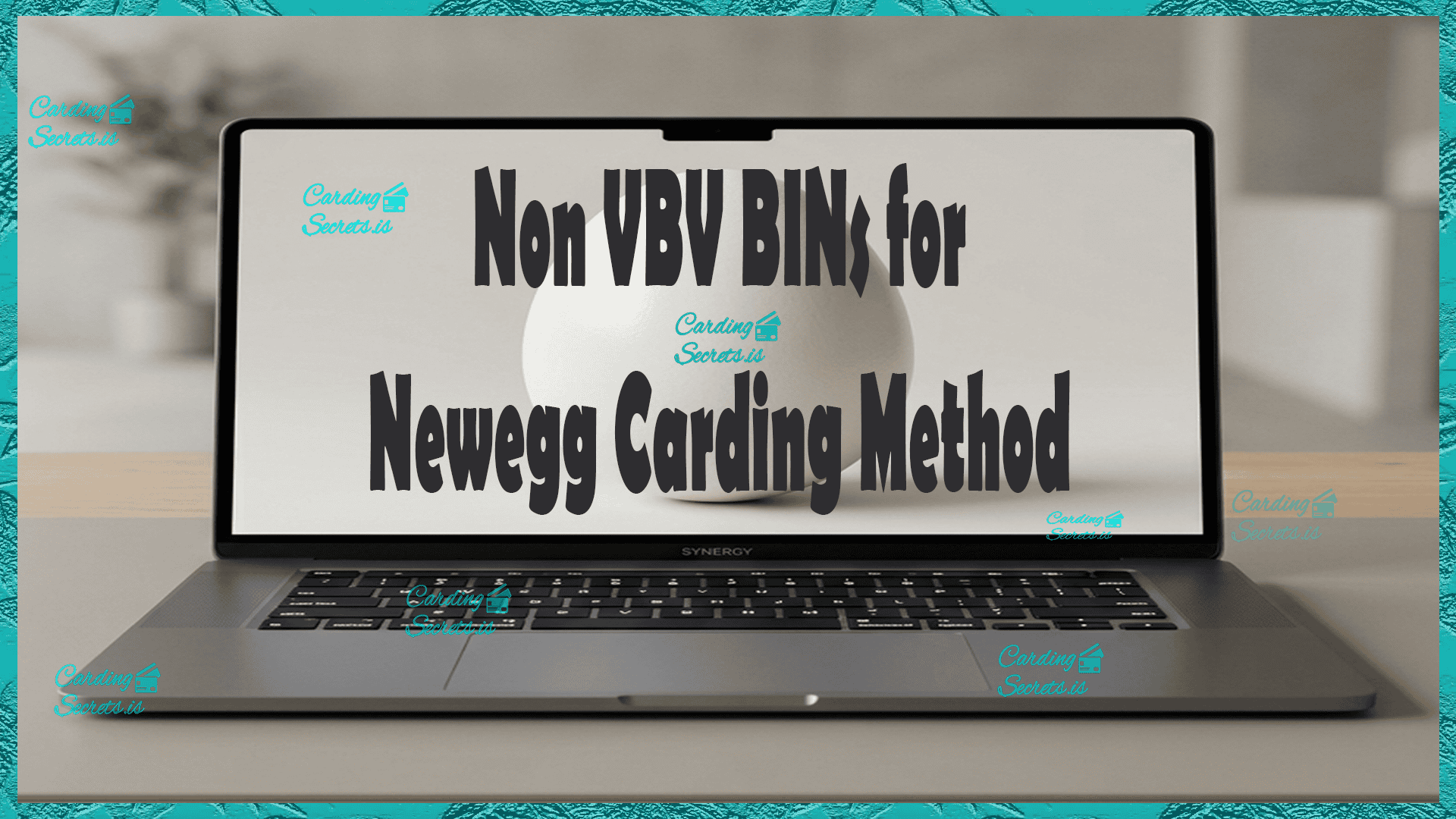 Newegg Carding method thumbnail